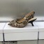 Dior Heel 6.5cm J'Adior Slingback Pumps in Beige Multicolor Embroidered Cotton with Toile de Jouy Voyage Motif 2023
