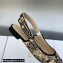 Dior J'Adior Slingback Ballerina Flats in Beige Multicolor Embroidered Cotton with Toile de Jouy Voyage Motif 2023