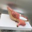 Dior Heel 6.5cm J'Adior Slingback Pumps in Pink and Gray Embroidered Cotton with Toile de Jouy Sauvage Motif 2023