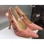 Dior Heel 9.5cm J'Adior Slingback Pumps in Pink and Gray Embroidered Cotton with Toile de Jouy Sauvage Motif 2023