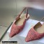 Dior J'Adior Slingback Ballerina Flats in Pink and Gray Embroidered Cotton with Toile de Jouy Sauvage Motif 2023