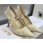 Dior Heel 9.5cm J'Adior Slingback Pumps in White Transparent Mesh Embroidered with D-Lace Macramé Motif 2023