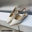 Dior J'Adior Slingback Ballerina Flats in White Embroidered Satin and Cotton 2023