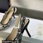 Dior Heel 9.5cm J'Adior Slingback Pumps in White Cotton Embroidered with Plan de Paris Motif 2023