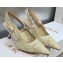 Dior Heel 6.5cm J'Adior Slingback Pumps in White Transparent Mesh Embroidered with D-Lace Macramé Motif 2023