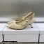 Dior Heel 6.5cm J'Adior Slingback Pumps in White Transparent Mesh Embroidered with D-Lace Macramé Motif 2023
