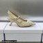 Dior Heel 6.5cm J'Adior Slingback Pumps in White Transparent Mesh Embroidered with D-Lace Macramé Motif 2023