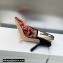 Dior Heel 9.5cm J'Adior Slingback Pumps in Red Multicolor Embroidered Cotton with Toile de Jouy Voyage Motif 2023