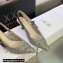 Dior Heel 6.5cm J'Adior Slingback Pumps in Gray Transparent Mesh Embroidered with D-Lace Macramé Motif 2023