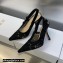 Dior Heel 9.5cm J'Adior Slingback Pumps in Black Transparent Mesh Embroidered with D-Lace Macramé Motif 2023