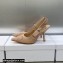 Dior Heel 9.5cm J'Adior Slingback Pumps in Nude Transparent Mesh Embroidered with D-Lace Macramé Motif 2023