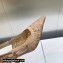 Dior Heel 6.5cm J'Adior Slingback Pumps in Nude Transparent Mesh Embroidered with D-Lace Macramé Motif 2023