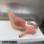 Dior Heel 9.5cm J'Adior Slingback Pumps in Pink and Gray Embroidered Cotton with Toile de Jouy Sauvage Motif 2023