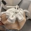 Cheap Sale Chanel Raffia and Leather Bucket Bag White 2023