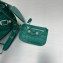 Balenciaga Le Cagole XS Shoulder Bag in crocodile embossed calfskin Green with rhinestones