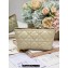 Dior Medium DiorTravel Nomad Pouch bag in Macrocannage Calfskin Beige