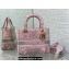 Lady Dior Medium D-Lite Bag  in Pink and Gray Toile de Jouy Sauvage Embroidery