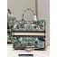 Dior Large Book Tote Bag in White Multicolor Étoile de Voyage Embroidery