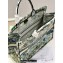 Dior Large Book Tote Bag in White Multicolor Étoile de Voyage Embroidery