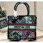 Dior Small Book Tote Bag in Multicolor Toile de Jouy Voyage Embroidery Green