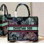 Dior Medium Book Tote Bag in Multicolor Toile de Jouy Voyage Embroidery Green