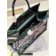 Dior Medium Book Tote Bag in Multicolor Toile de Jouy Voyage Embroidery Green