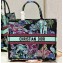 Dior Large Book Tote Bag in Multicolor Toile de Jouy Voyage Embroidery Green