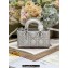 Dior Micro Lady D-Joy Bag in Iridescent and Cannage Lambskin Silver