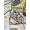 Dior Small Lady D-Joy Bag in Iridescent and Cannage Lambskin Silver