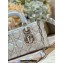 Dior Small Lady D-Joy Bag in Iridescent and Cannage Lambskin Silver