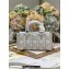 Dior Small Lady D-Joy Bag in Iridescent and Cannage Lambskin Silver