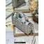 Dior Small Lady D-Joy Bag in Iridescent and Cannage Lambskin Silver