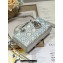 Dior Small Lady D-Joy Bag in Iridescent and Cannage Lambskin Silver