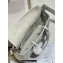 Dior Small Lady D-Joy Bag in Iridescent and Cannage Lambskin Silver