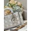 Dior Medium Lady D-Joy Bag in Iridescent and Cannage Lambskin Silver