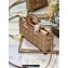 Dior Medium Lady D-Joy Bag in Iridescent and Cannage Lambskin