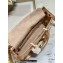 Dior Medium Lady D-Joy Bag in Iridescent and Cannage Lambskin