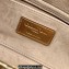 Dior Medium Lady D-Joy Bag in Iridescent and Cannage Lambskin