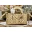 Dior Micro Lady D-Joy Bag in Iridescent and Cannage Lambskin Gold