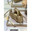 Dior Micro Lady D-Joy Bag in Iridescent and Cannage Lambskin Gold