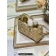 Dior Micro Lady D-Joy Bag in Iridescent and Cannage Lambskin Gold