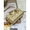 Dior Micro Lady D-Joy Bag in Iridescent and Cannage Lambskin Gold