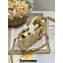Dior Small Lady D-Joy Bag in Iridescent and Cannage Lambskin Gold