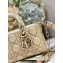 Dior Small Lady D-Joy Bag in Iridescent and Cannage Lambskin Gold