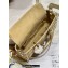 Dior Small Lady D-Joy Bag in Iridescent and Cannage Lambskin Gold