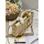 Dior Medium Lady D-Joy Bag in Iridescent and Cannage Lambskin Gold
