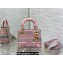 Lady Dior Mini D-Lite Bag  in Pink and Gray Toile de Jouy Sauvage Embroidery