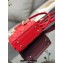 Lady Dior Micro Bag in Cannage Lambskin Red