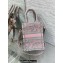 Dior Mini Dioriviera Book Tote Phone Bag in Gray and Pink Toile de Jouy Reverse Embroidery