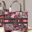 Dior Medium Book Tote Bag in Multicolor Toile de Jouy Voyage Embroidery Pink